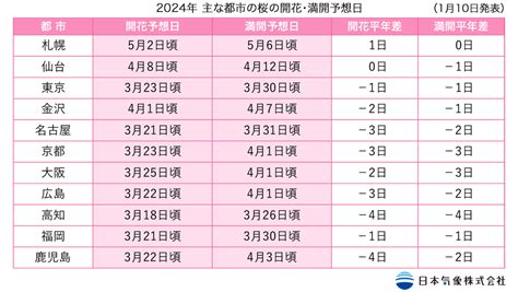 現在開花的樹|2024年11月27日 現在の開花情報 